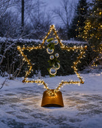 Lade das Bild in den Galerie-Viewer, Stern Cham
