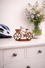 Lade das Bild in den Galerie-Viewer, Fahrrad auf Bodenplatte
