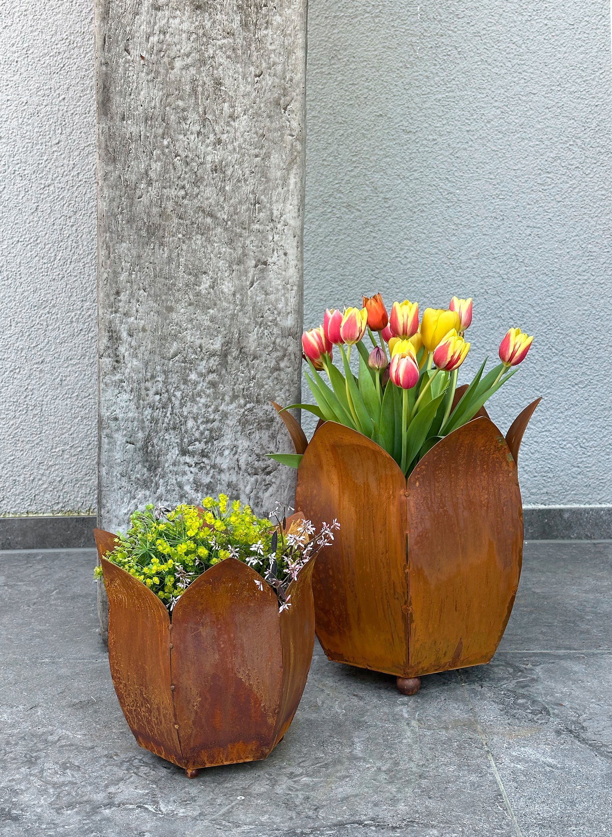 Pflanztopf Tulpe