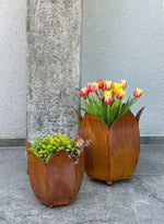 Lade das Bild in den Galerie-Viewer, Pflanztopf Tulpe
