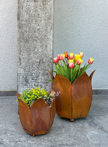 Pflanztopf Tulpe