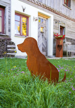 Lade das Bild in den Galerie-Viewer, Hund Balu
