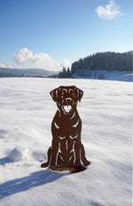 Lade das Bild in den Galerie-Viewer, Hund Milly
