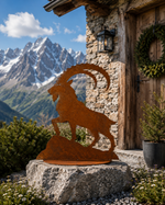 Lade das Bild in den Galerie-Viewer, Steinbock Zillertal
