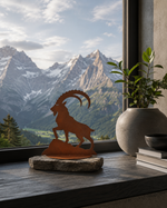 Lade das Bild in den Galerie-Viewer, Steinbock Zillertal
