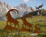 Lade das Bild in den Galerie-Viewer, Steinbock Zillertal
