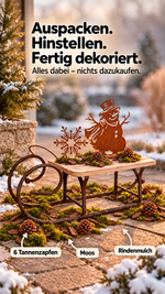 Lade das Bild in den Galerie-Viewer, Winter-Dekoset „Schlittenzauber“
