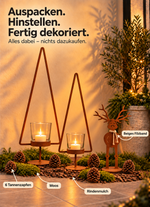 Lade das Bild in den Galerie-Viewer, Winter-Dekoset „Winterzauber im Lichterglanz“
