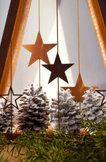 Lade das Bild in den Galerie-Viewer, Sternenbaum Ammersee
