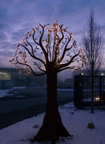 Lade das Bild in den Galerie-Viewer, Baum für den Garten
