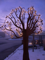 Lade das Bild in den Galerie-Viewer, Baum für den Garten
